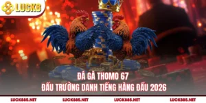 Đá Gà Thomo 67 - Đấu Trường Danh Tiếng Hàng Đầu 2026