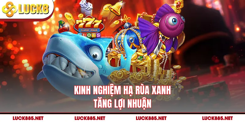 Kinh nghiệm hạ rùa xanh tăng lợi nhuận