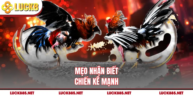 Mẹo nhận biết chiến kê mạnh