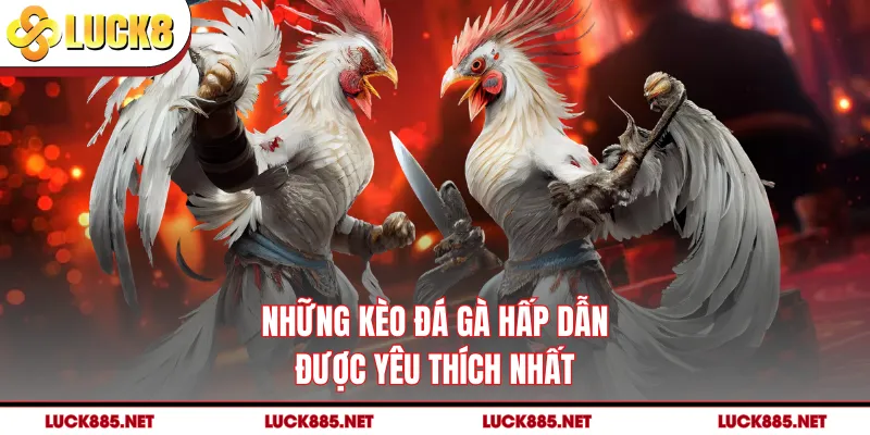 Những kèo đá gà hấp dẫn được yêu thích nhất