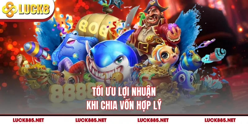 Tối ưu lợi nhuận khi chia vốn hợp lý