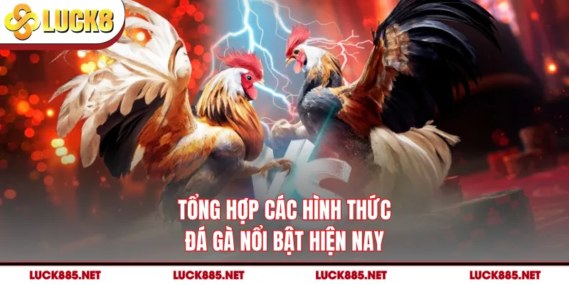 Tổng hợp các hình thức đá gà nổi bật hiện nay