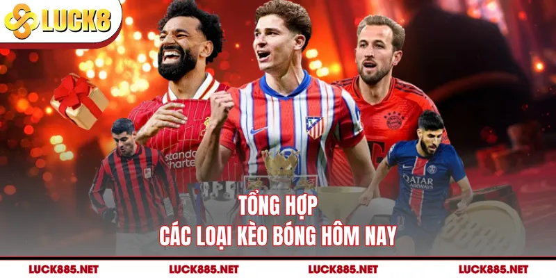 Tổng hợp các loại kèo bóng hôm nay 